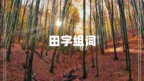 田字组词