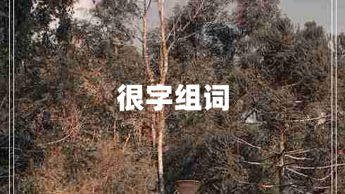 很字组词