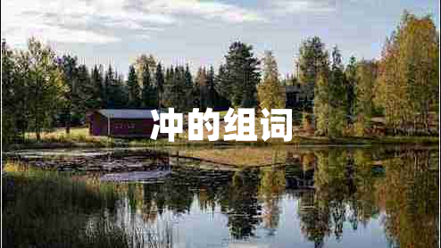 冲的组词