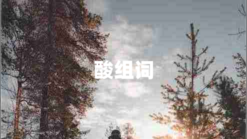 酸组词