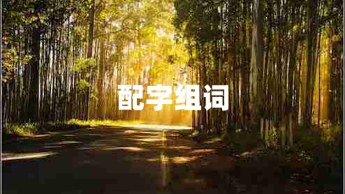 配字组词