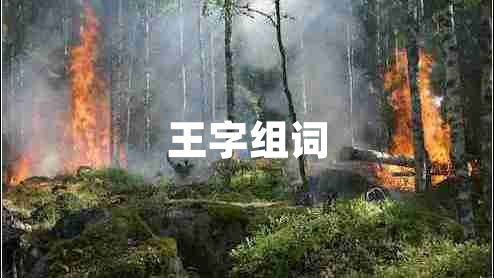 王字组词