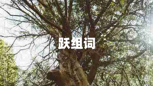 跃组词