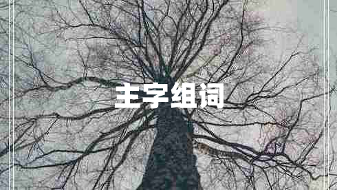 主字组词