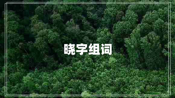 晓字组词