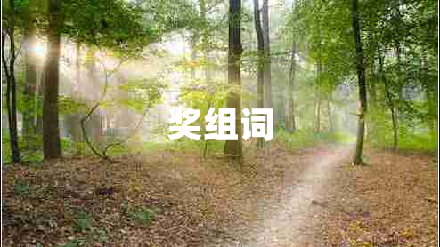 奖组词