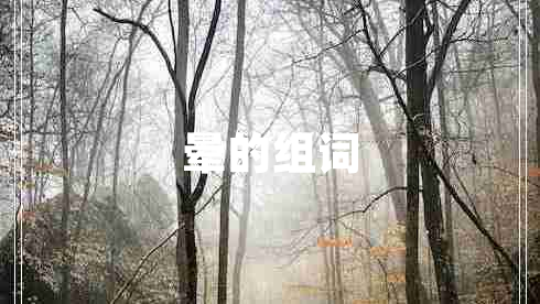 晕的组词