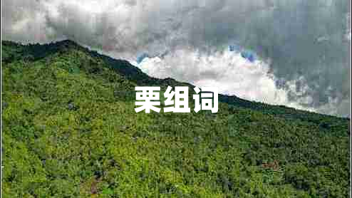 栗组词