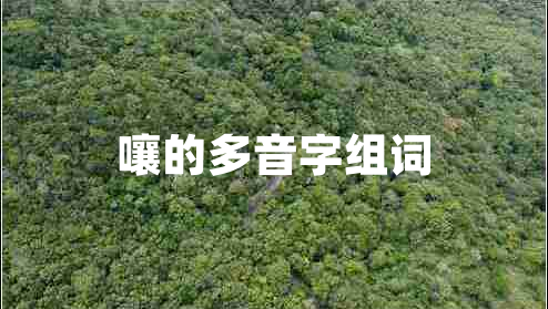 嚷的多音字组词