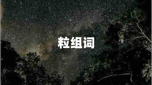 粒组词