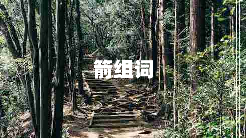 箭组词