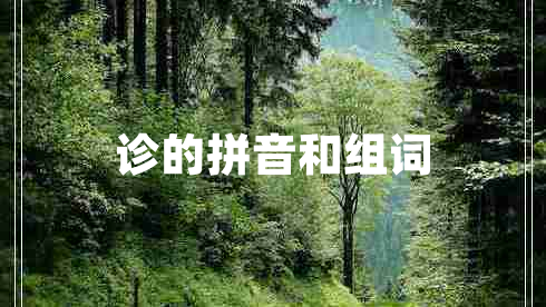 诊的拼音和组词