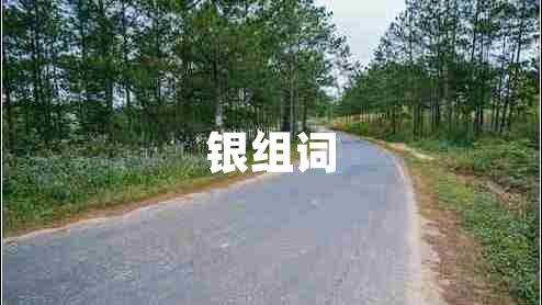 银组词