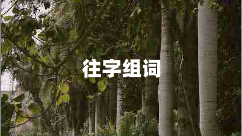 往字组词