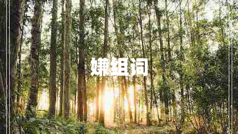 嫌组词