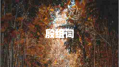 殷组词