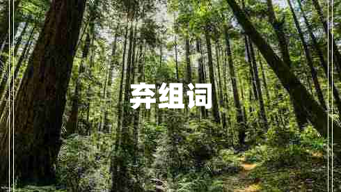 弃组词