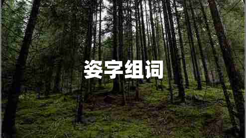 姿字组词
