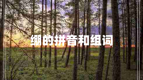 绷的拼音和组词