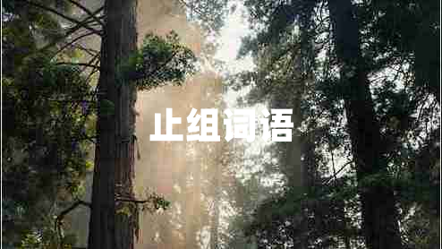 止组词语