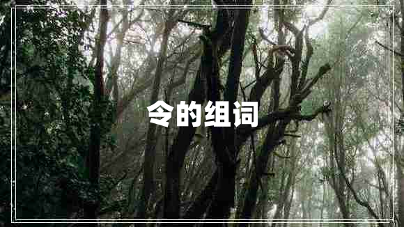 令的组词