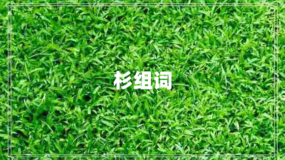 杉组词