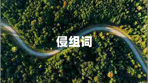 侵组词