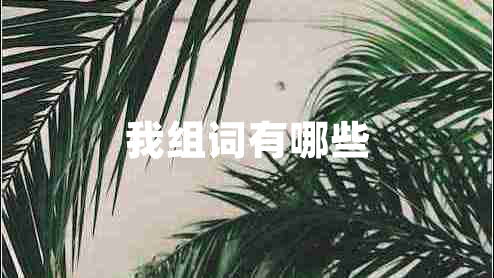 我组词有哪些
