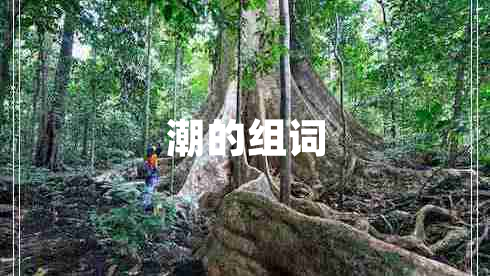潮的组词