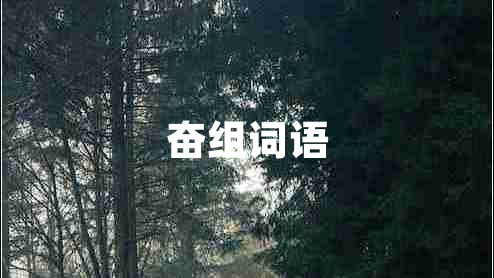 奋组词语