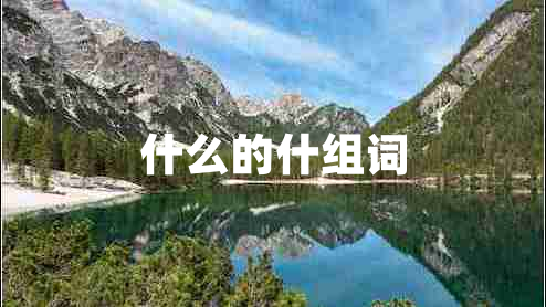 什么的什组词