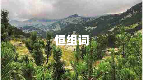 恒组词