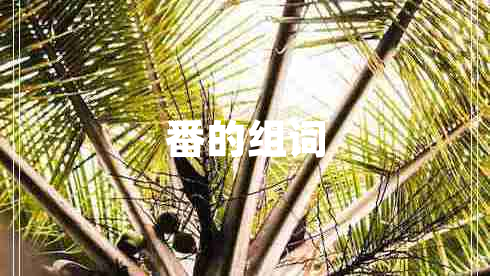 番的组词