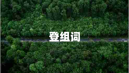 登组词