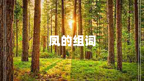 凤的组词