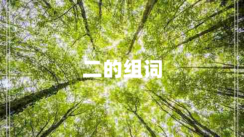 二的组词