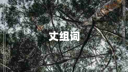 丈组词