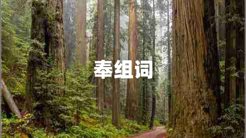 奉组词