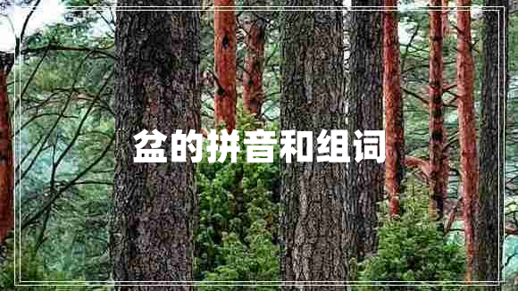 盆的拼音和组词 盆的拼音和组词