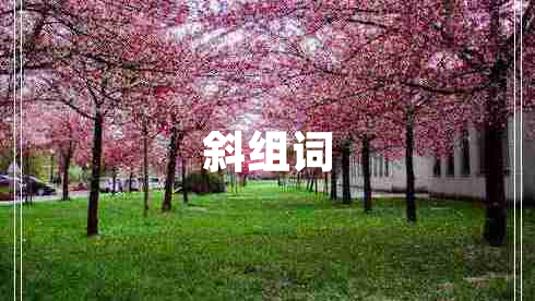 斜组词
