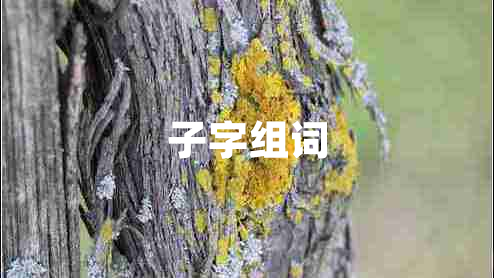 子字组词