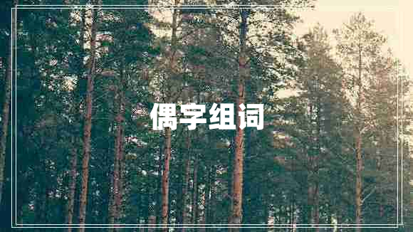 偶字组词