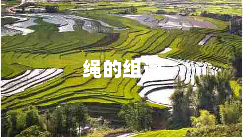 绳的组词
