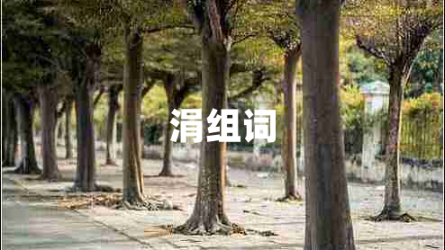 涓组词
