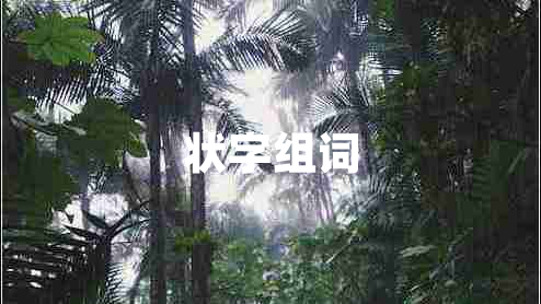 状字组词
