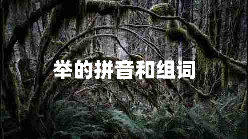 举的拼音和组词