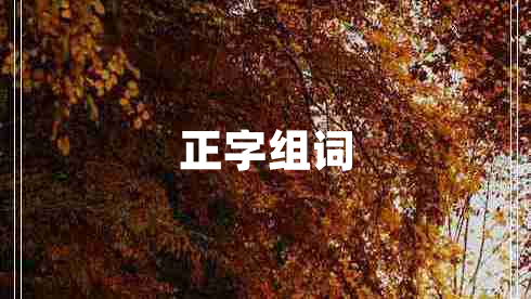 正字组词