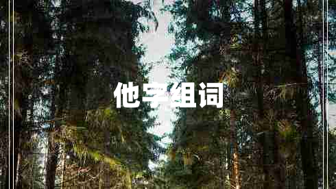 他字组词