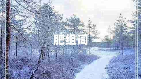 肥组词