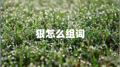 狠怎么组词